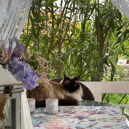 La Terrazza