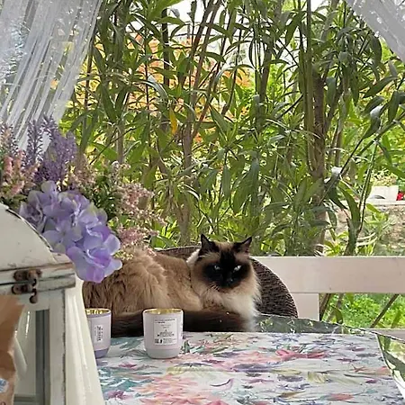 La Terrazza Couette-café Pozzolengo