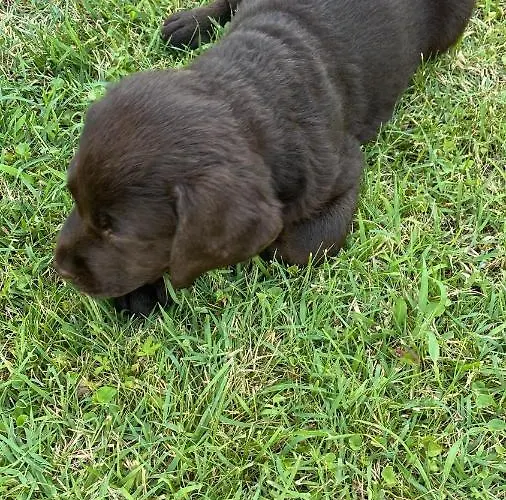 La Terrazza 4* Pozzolengo