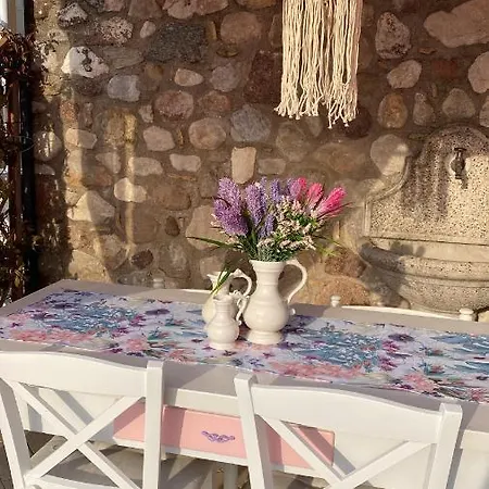 Panzió La Terrazza Pozzolengo