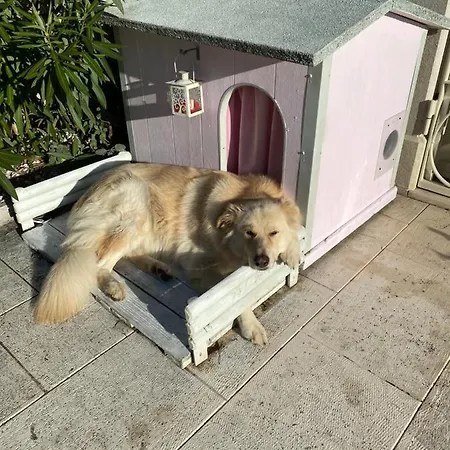 La Terrazza Panzió *