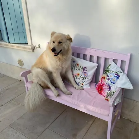 La Terrazza Pozzolengo