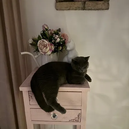 Panzió La Terrazza